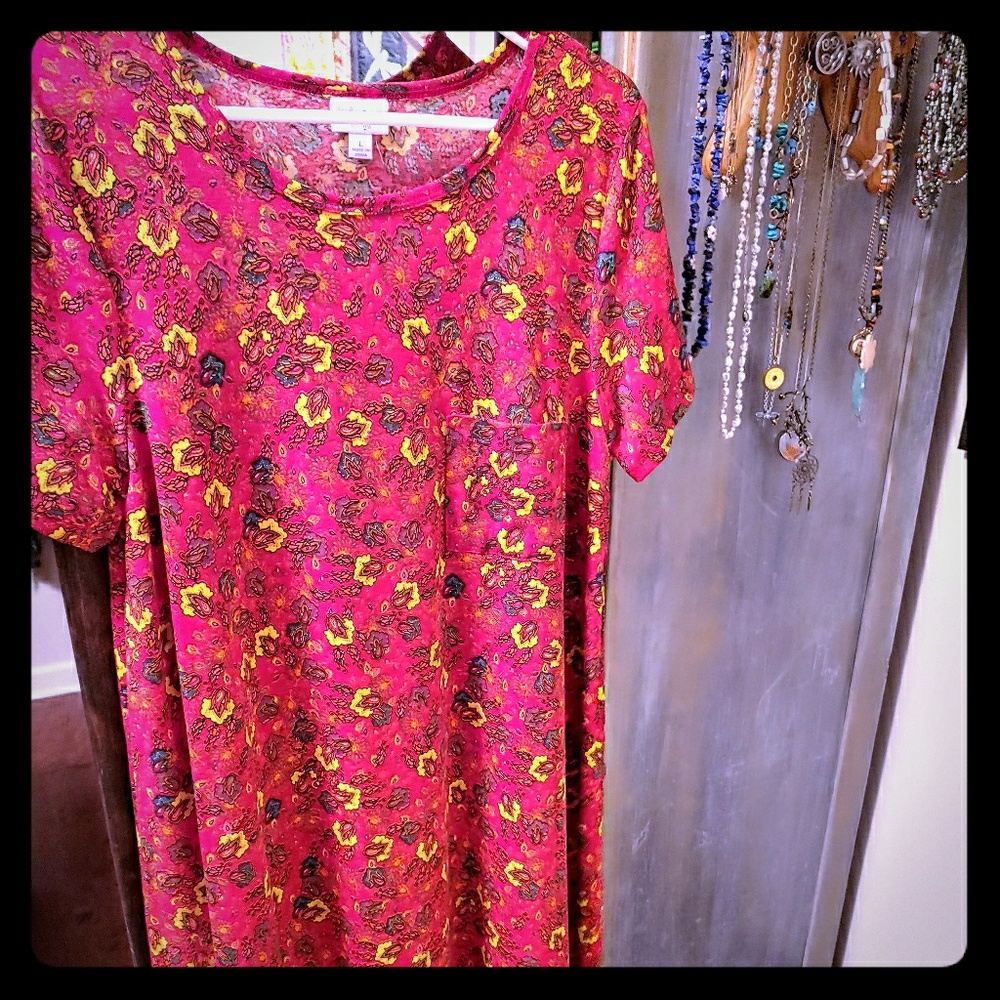 Bright, slinky material LuLaRoe Carly Dress